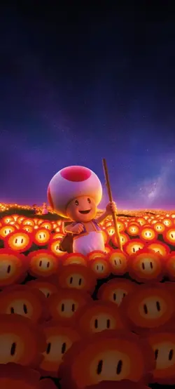 toad musique