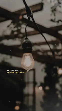 Hắc Nguyệt Quang