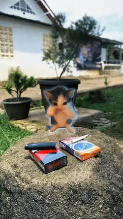 Kicau mania viral