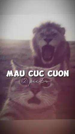 2 ẢNH GIẬT GIẬT CHÁY