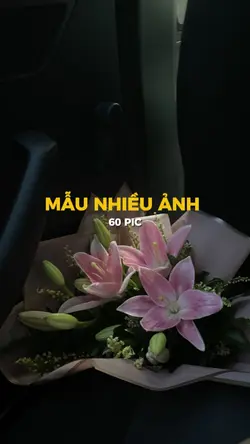 Mẫu 60 PIC