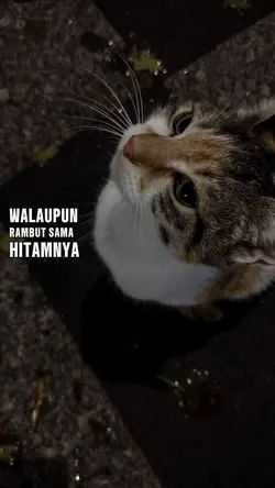 walaupun rambut sama