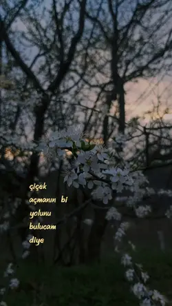 | Çiçek  açıyoruz 