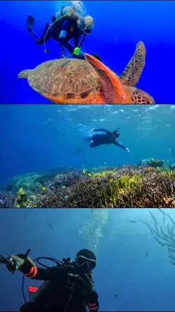 snorkeling