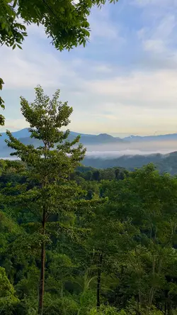 Best View Gunung