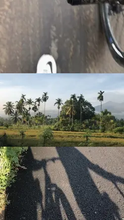 Tata letak 3 video