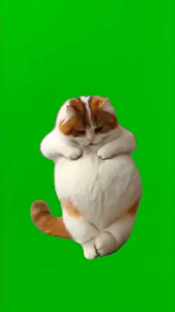 MOVES LIKE PUSS MEME