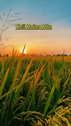 Chill Hoàng Hôn