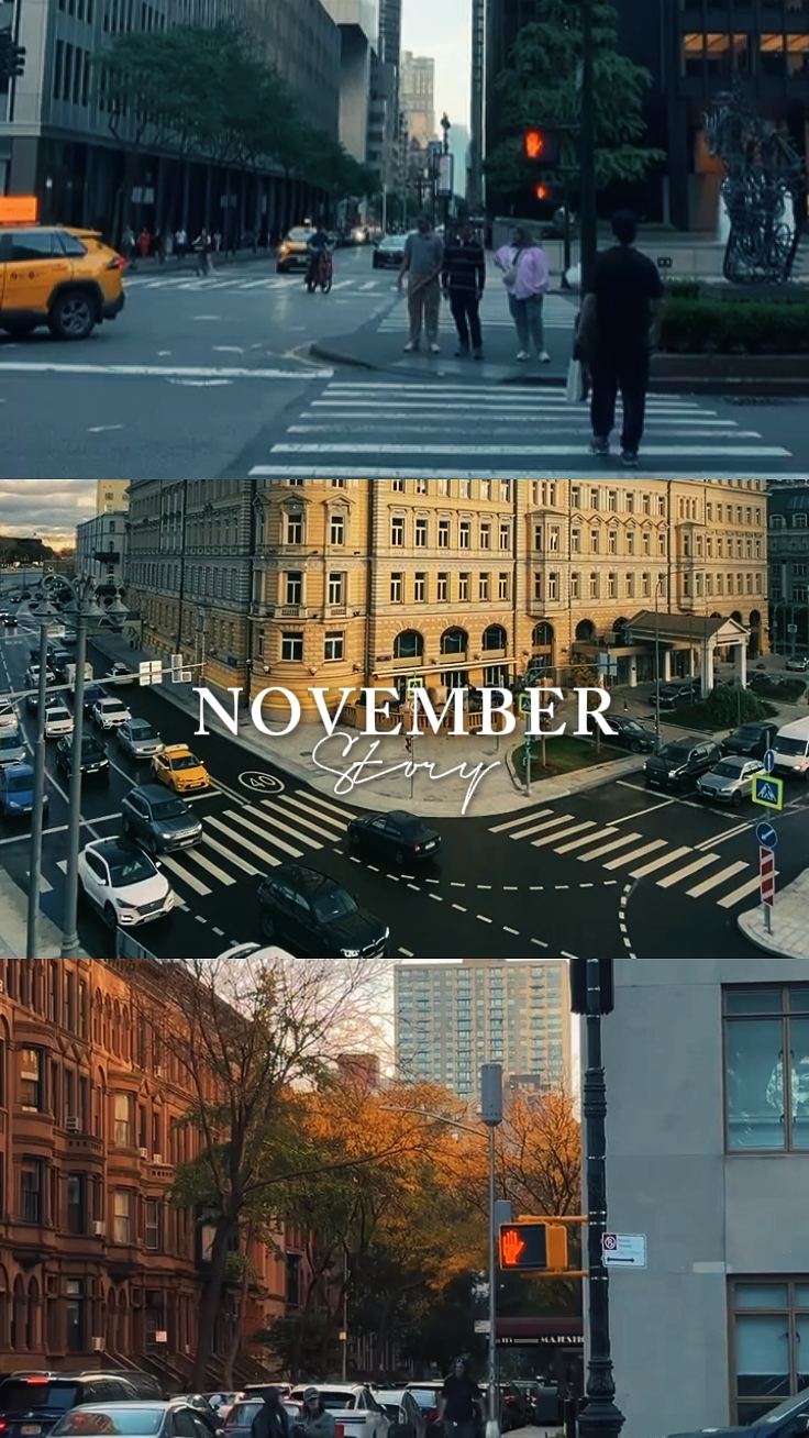 Historia de noviembre