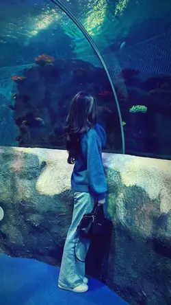 akuarium