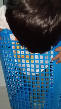 เด็กดื้อ