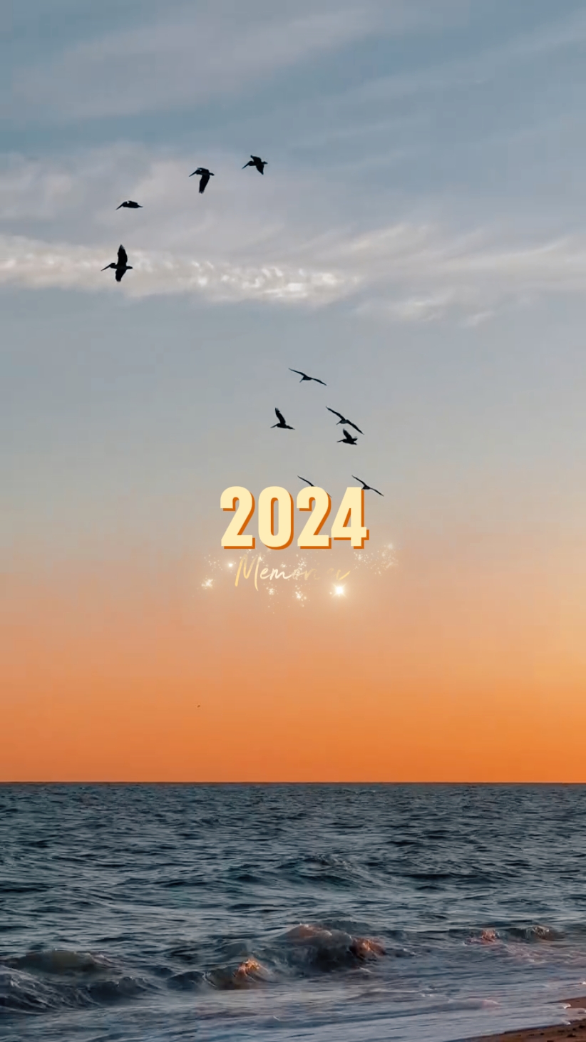 2024年的回忆