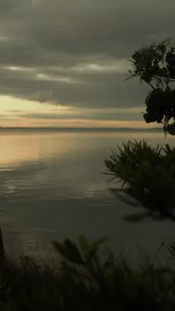 Enda ulih nyapai j..