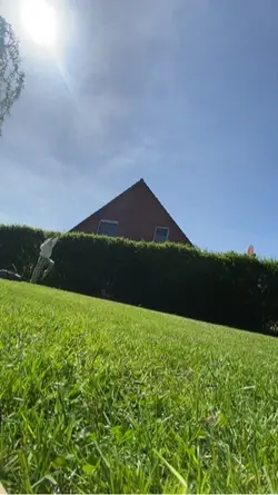 Vw Salto auf rasen