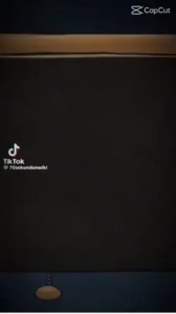 Flaggen 