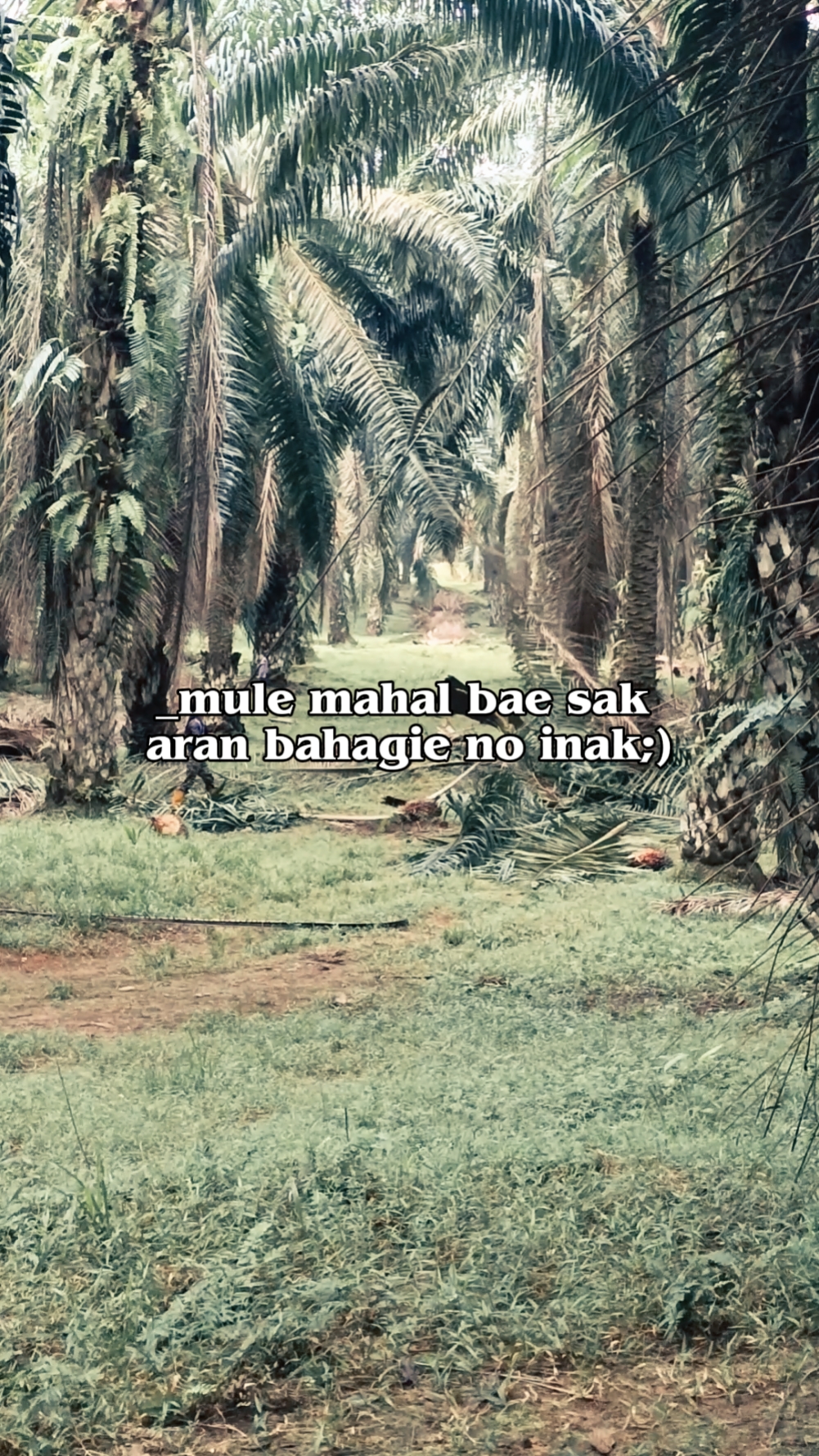 kata kata sasak