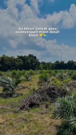 ga berani banyakgaya