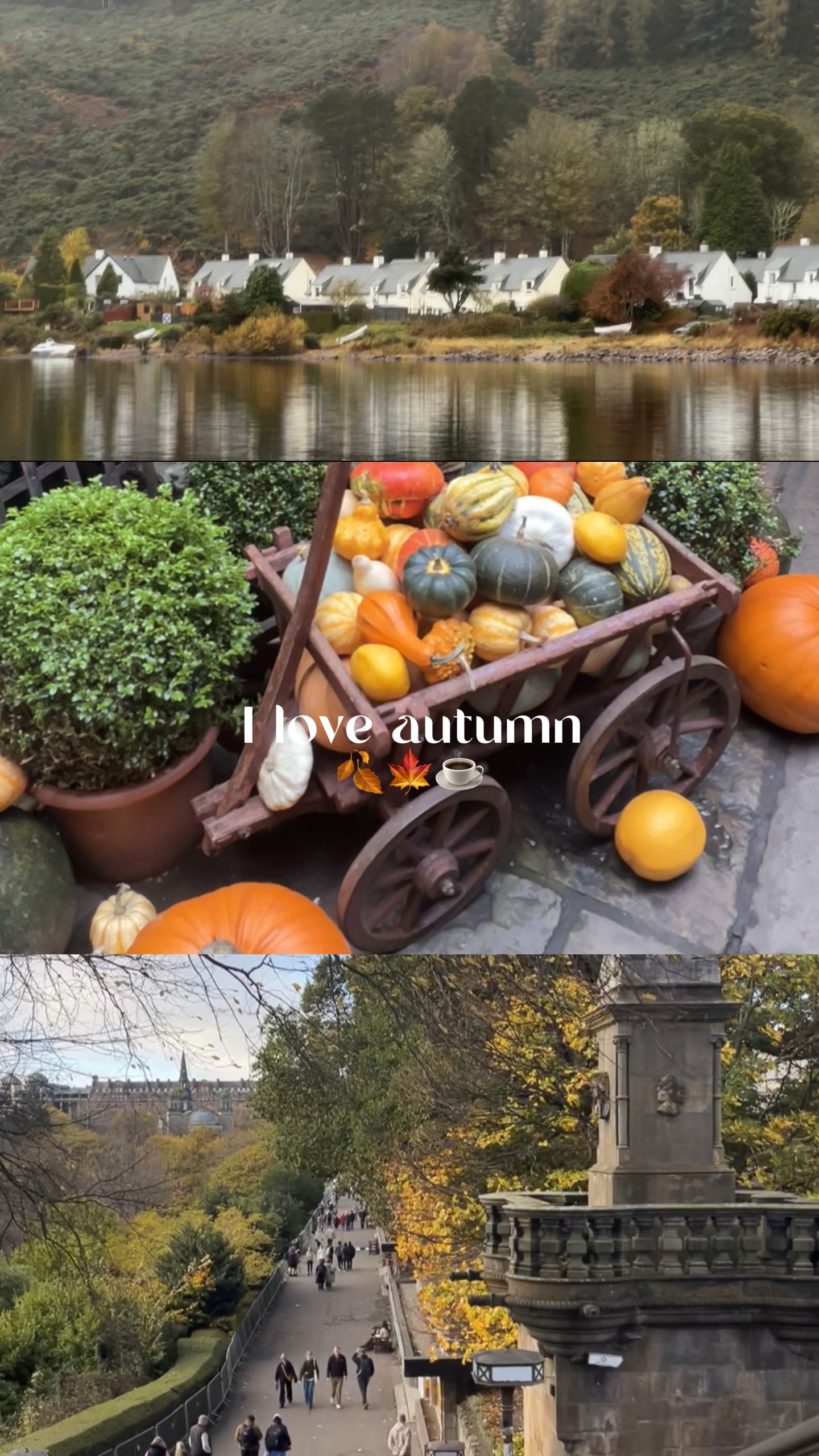 i love autumn