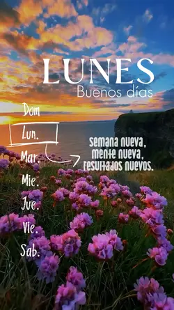 Inicio de semana