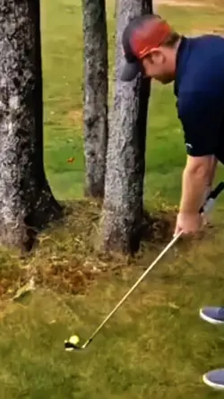 New trend transition