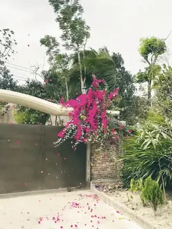 slow motion