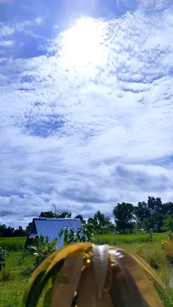 พระอาทิตย์ยามเช้า