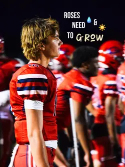 roses need water and