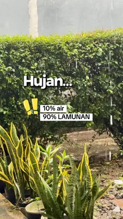 Tentang Hujan 🌧️ 