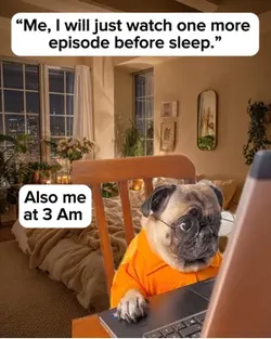 Dog with laptop