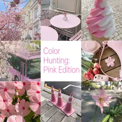 color hunting pink