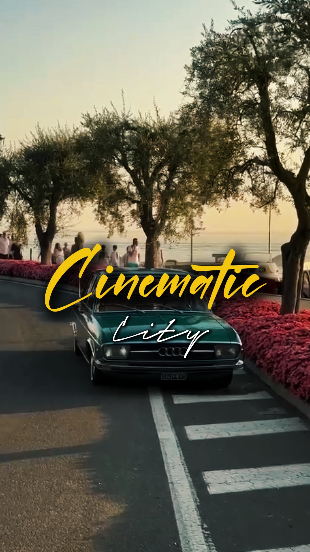 5 clips cinematic 