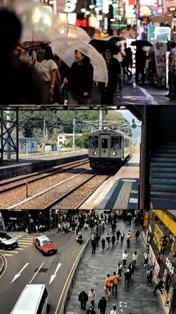 3 grid video