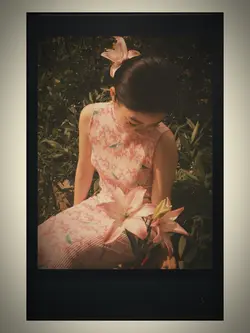 polaroid