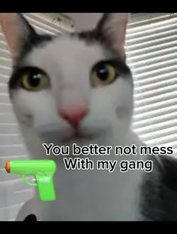 Oobie Goobie πΏ