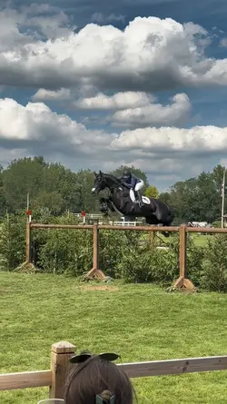 1clip horse slomo‼️AI