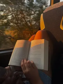 reading