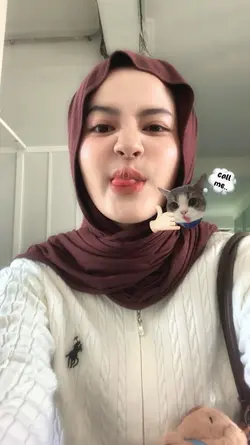 kucing bisa digeser