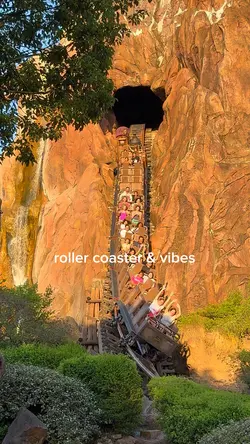Roller Coaster Vibes