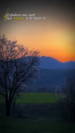 EVÎNDARA AXA SAR E