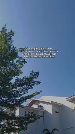 Story Wa