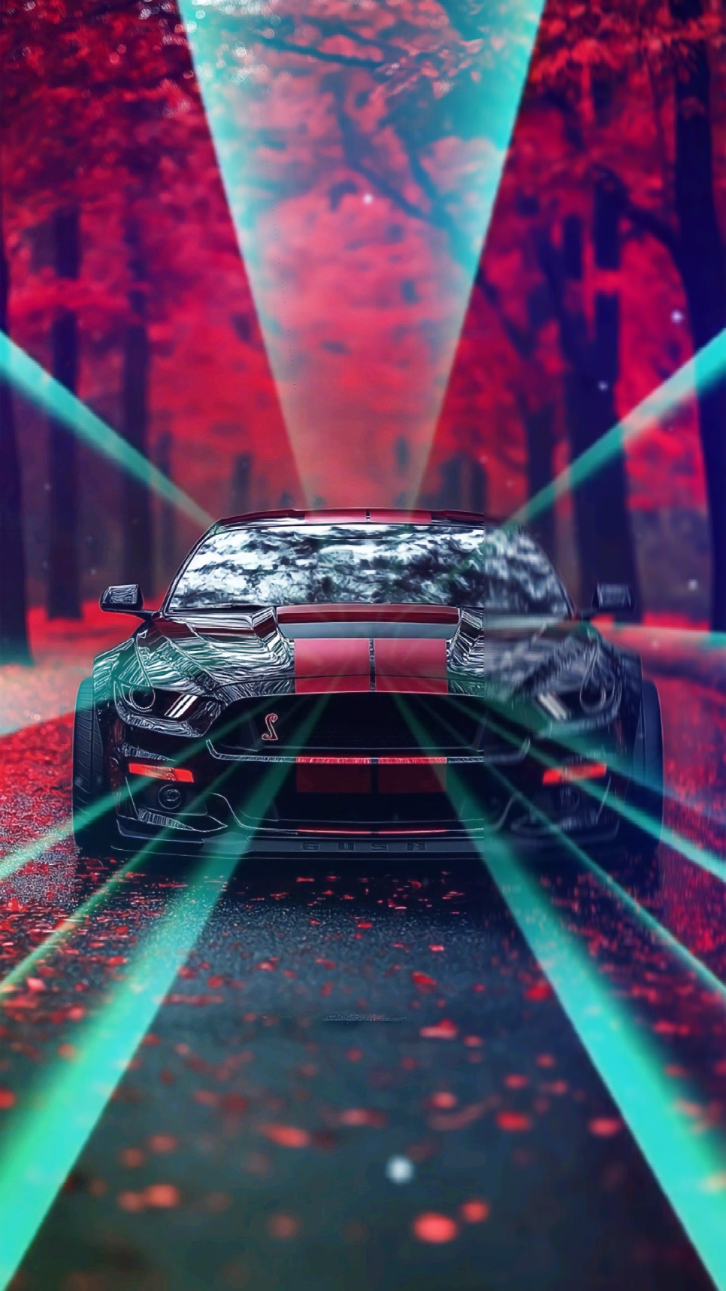 Disco