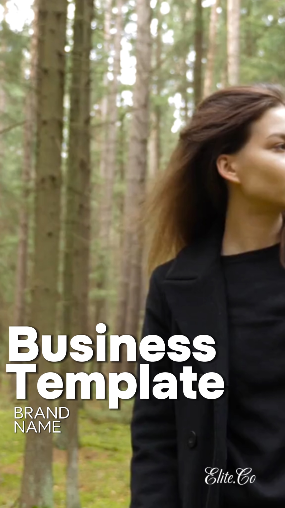 Modèle d'entreprise