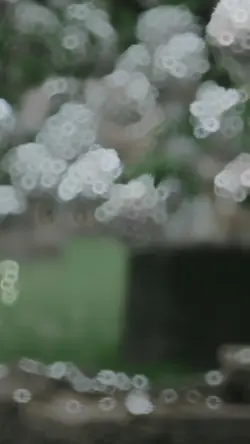 Mẫu hmoob tâm trạng 