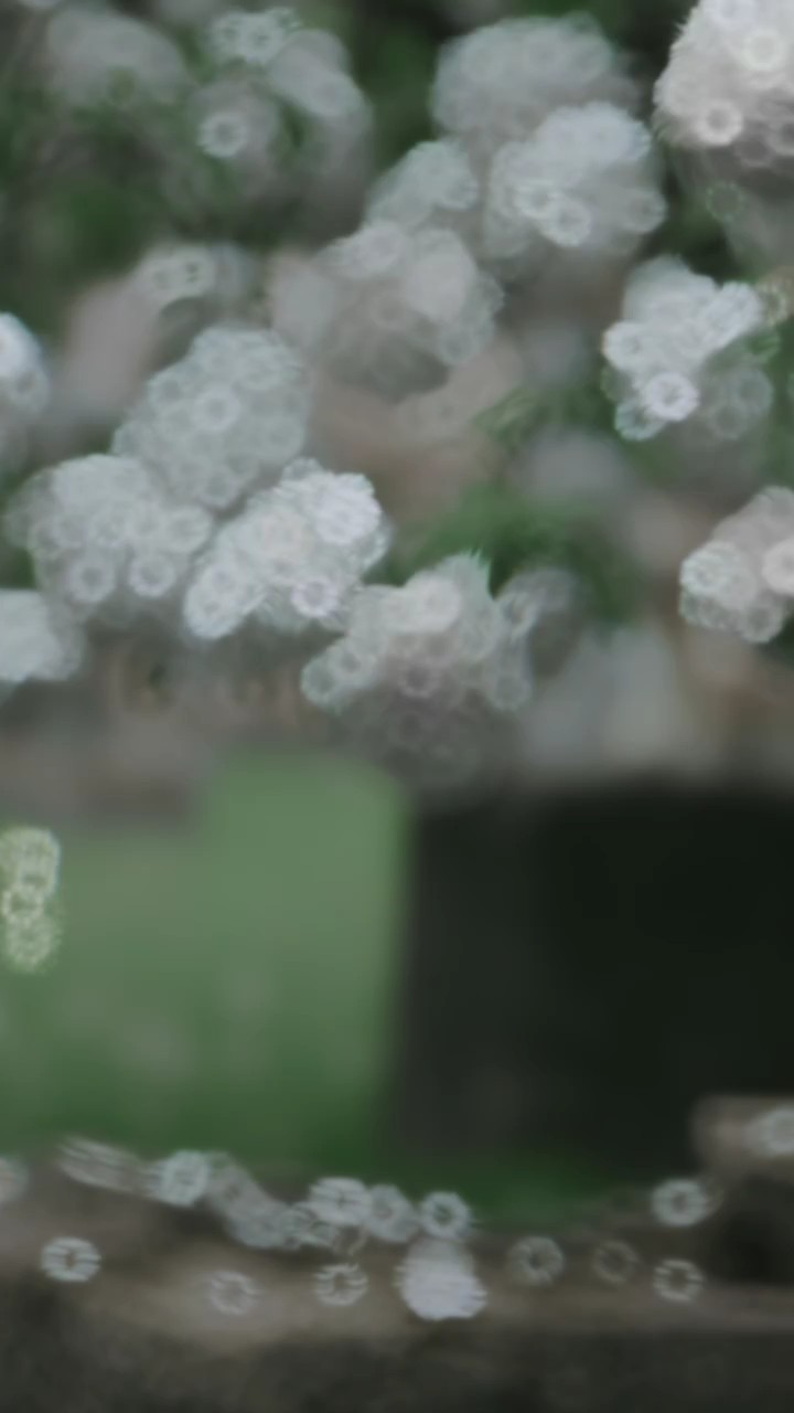 Mẫu hmoob tâm trạng 