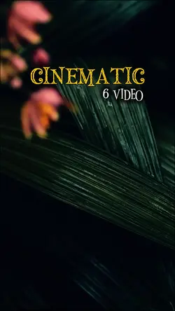 cinematic 6 video