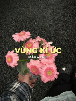 [43] VÙNG KÍ ỨC