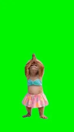 Monkey dancing