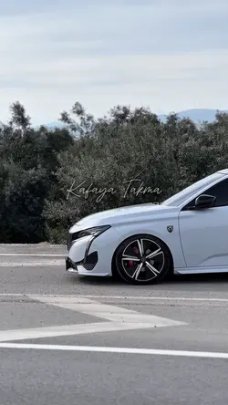 YAKIŞTI MOR RENK ÇOK