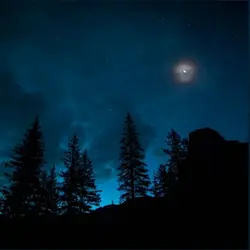 A night picture