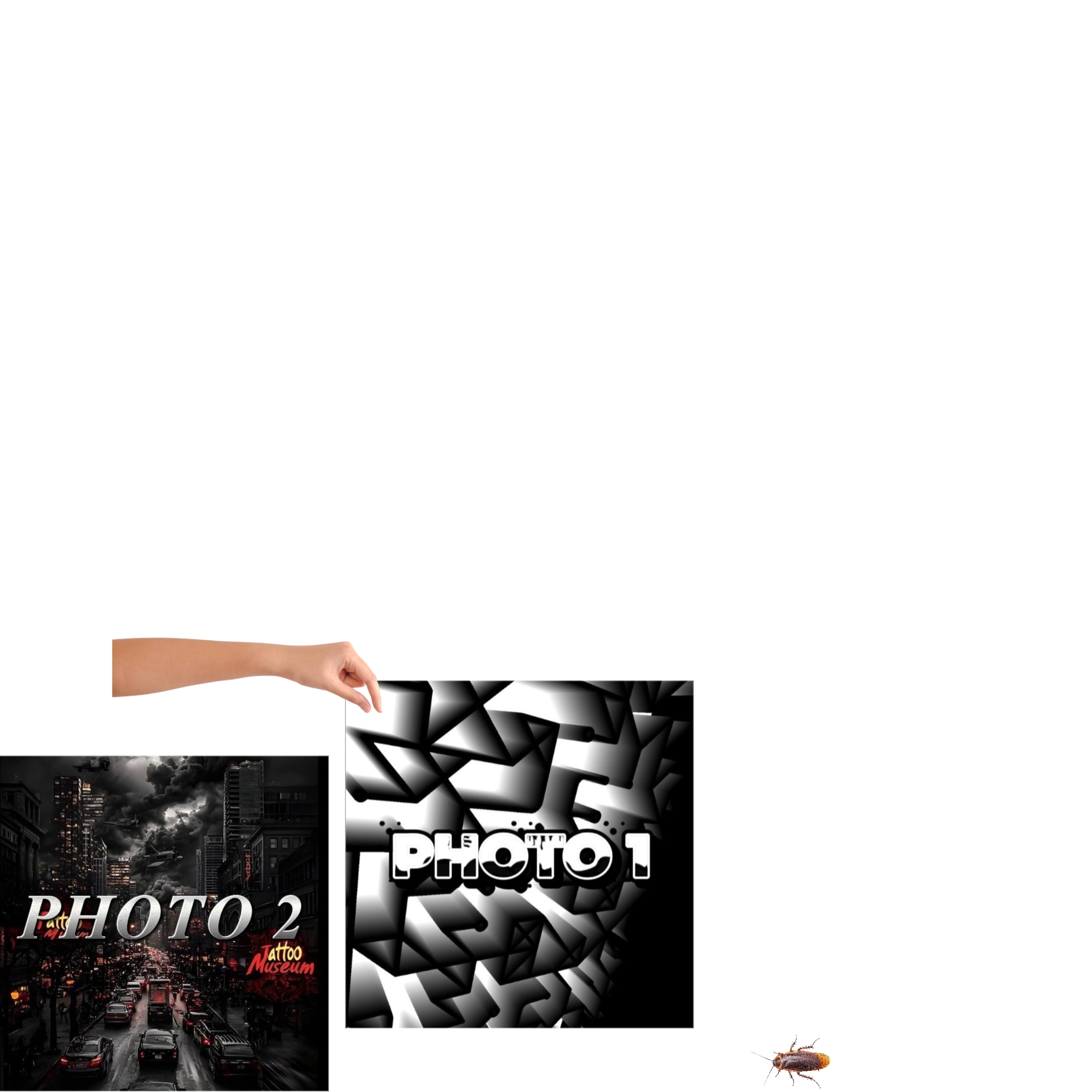Cover Picture